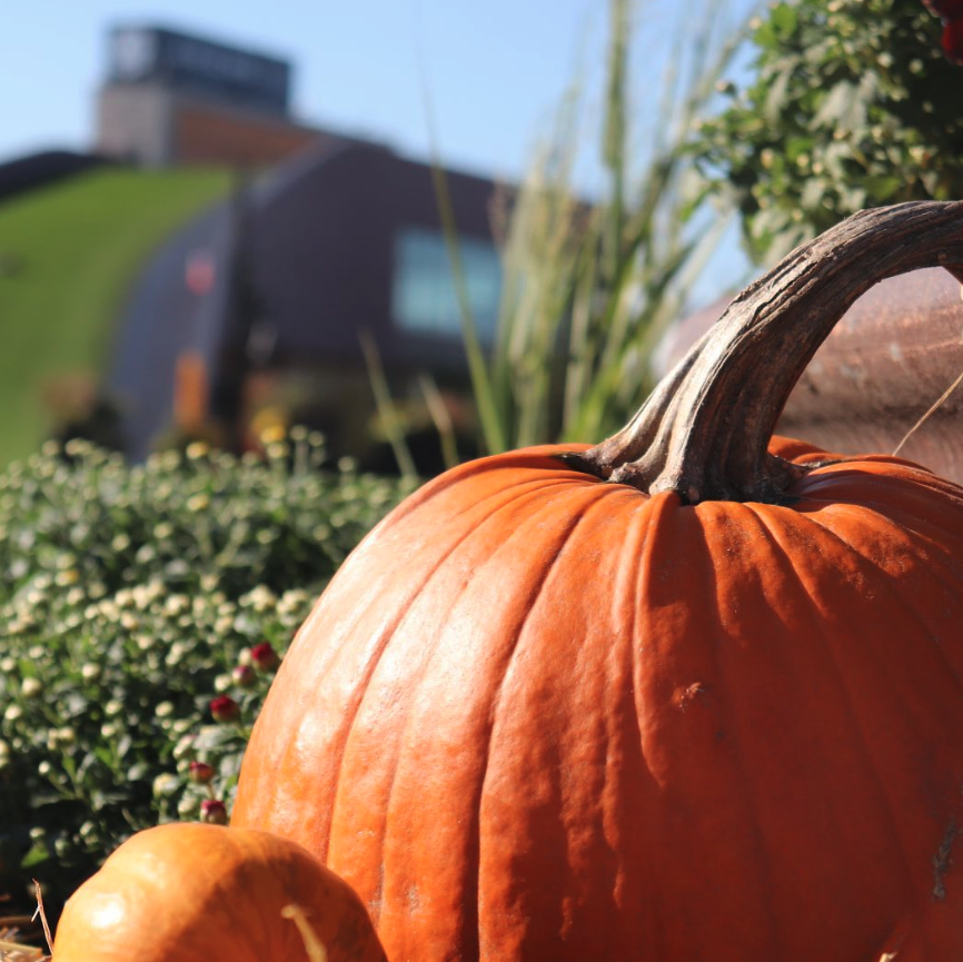 Titletown Hosting Free Pumpkin Palooza Event Oct. 28-31